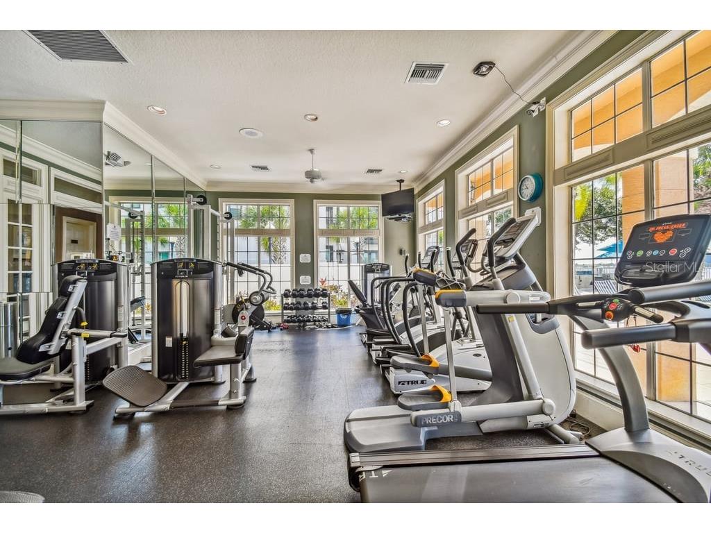 4304 Bay Club Circle #4304 Tampa FL 33607 - TAMPA BAY HARBOUR TB8514872 image27