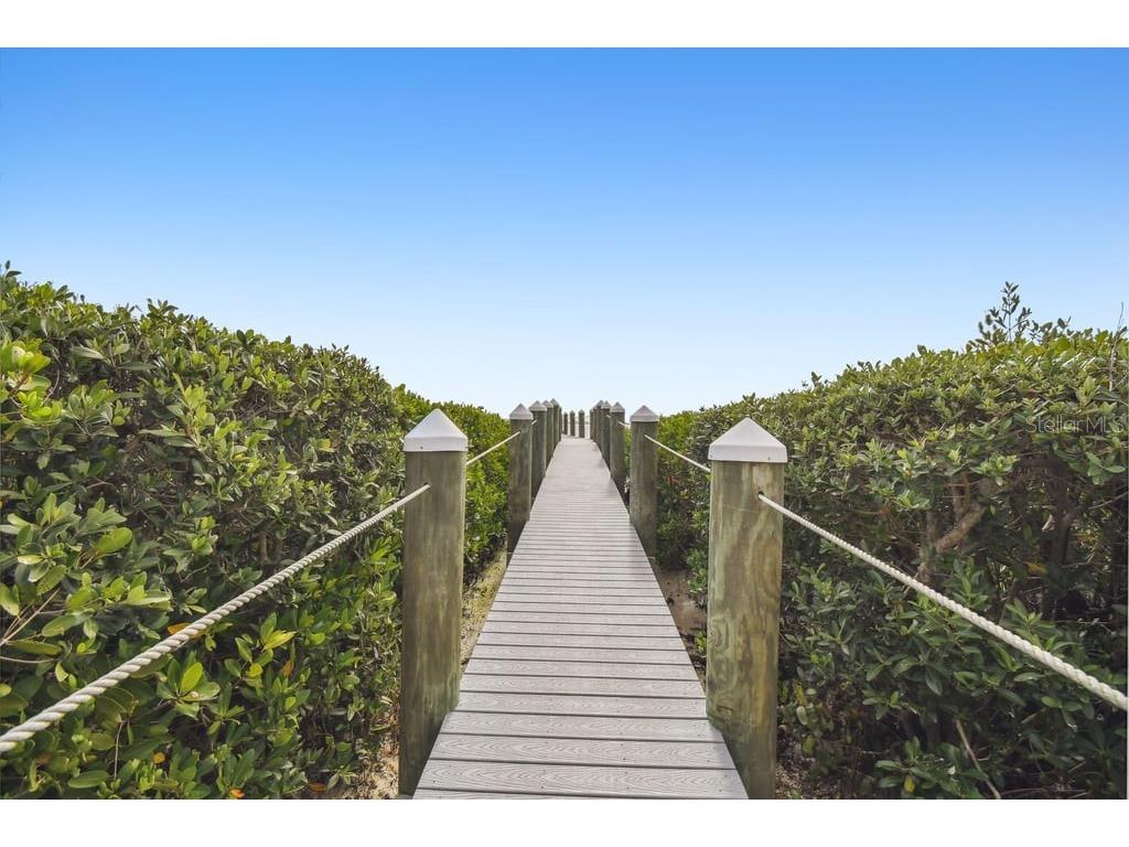 4304 Bay Club Circle #4304 Tampa FL 33607 - TAMPA BAY HARBOUR TB8514872 image43