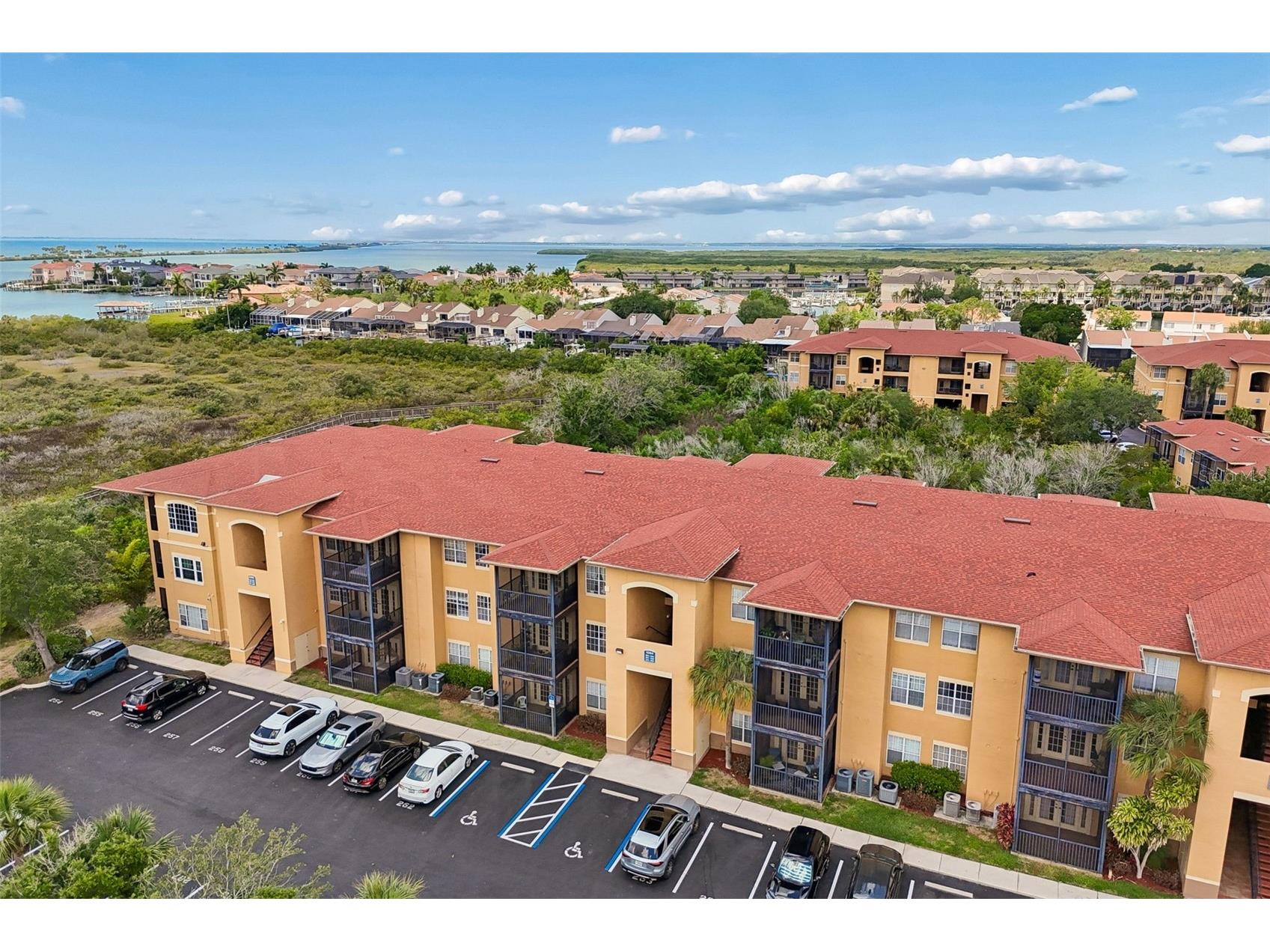 4304 Bayside Village Drive #204 Tampa FL 33615 - TAMPA BAY TB8504070 image32