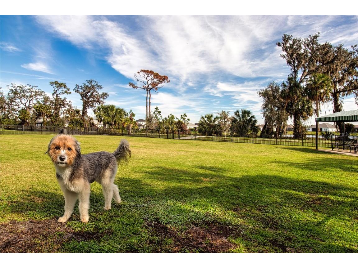 4304 Fly Rod Terrace Parrish FL 34219 A4637663 image96