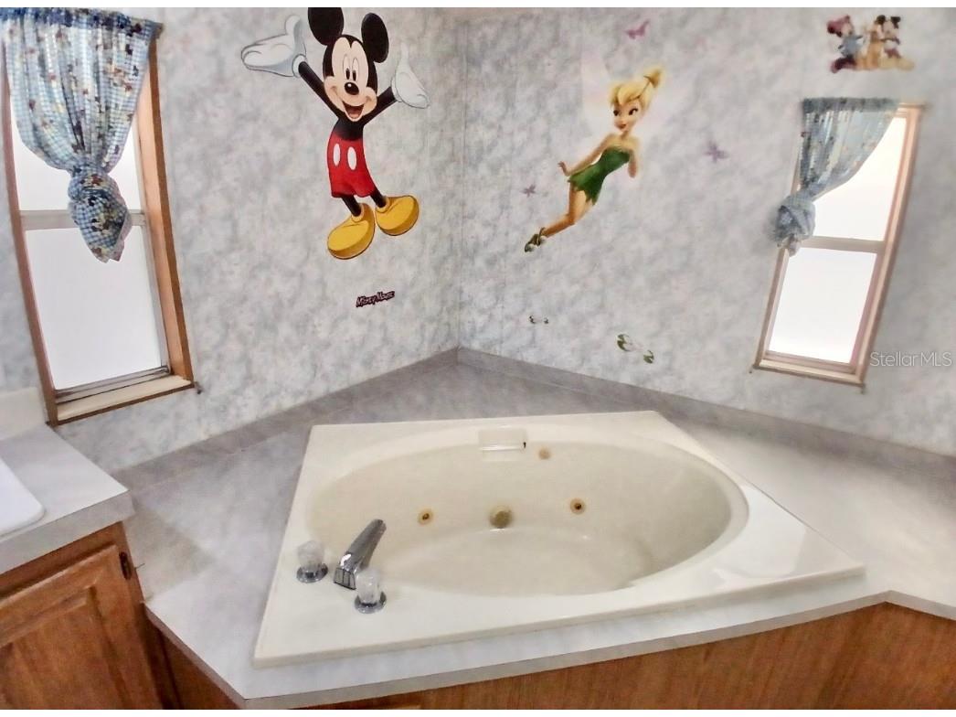 4304 Oak View Avenue Kissimmee FL 34746 S5139517 image41