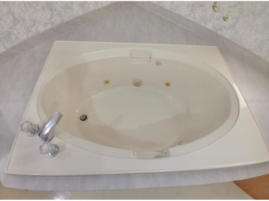 4304 Oak View Avenue Kissimmee FL 34746 S5139517 image42