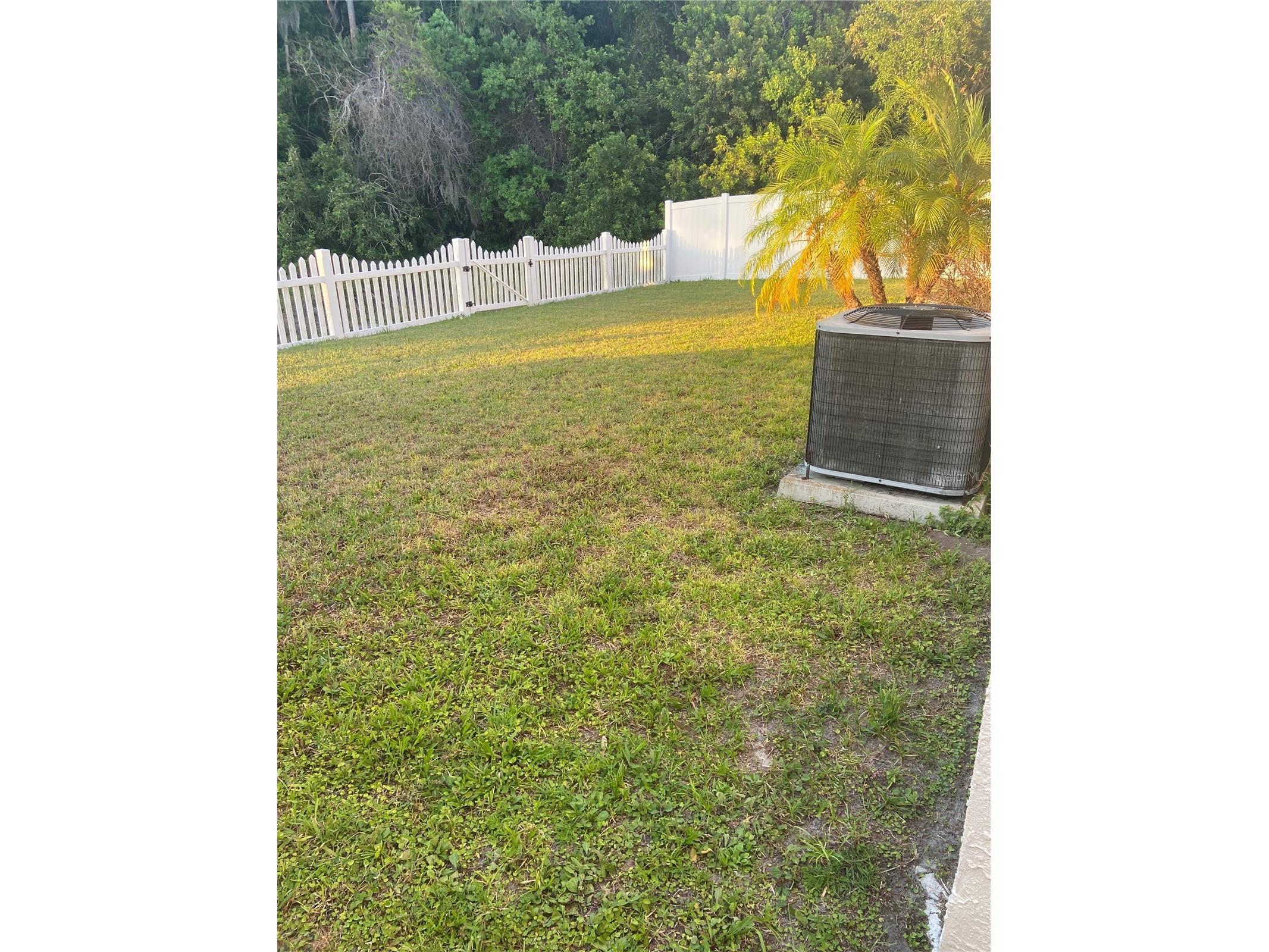 4304 Stones River Court New Port Richey FL 34653 TB8514607 image8