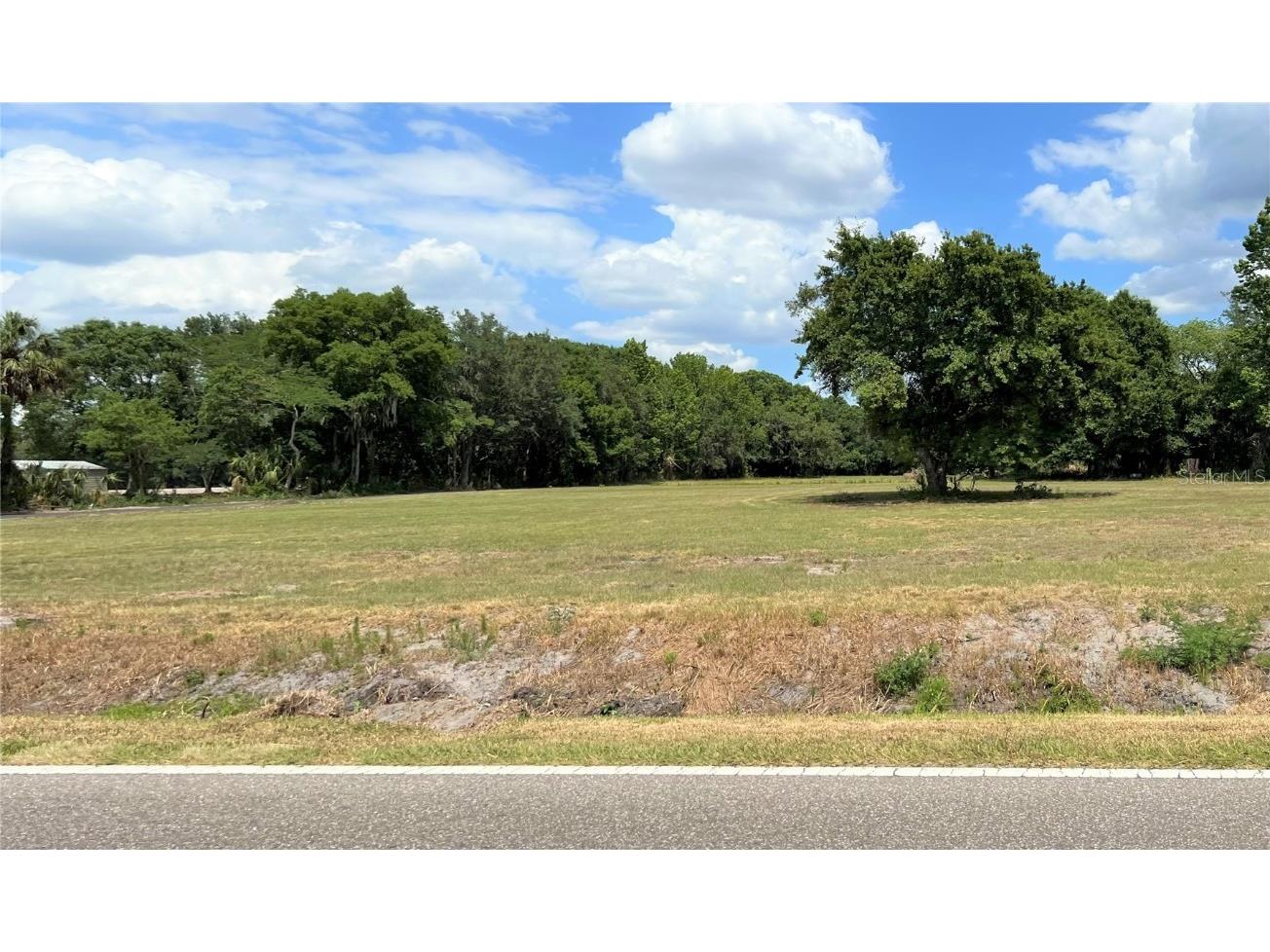 4304 Turkey Creek Road Plant City FL 33567 T3446649 image1