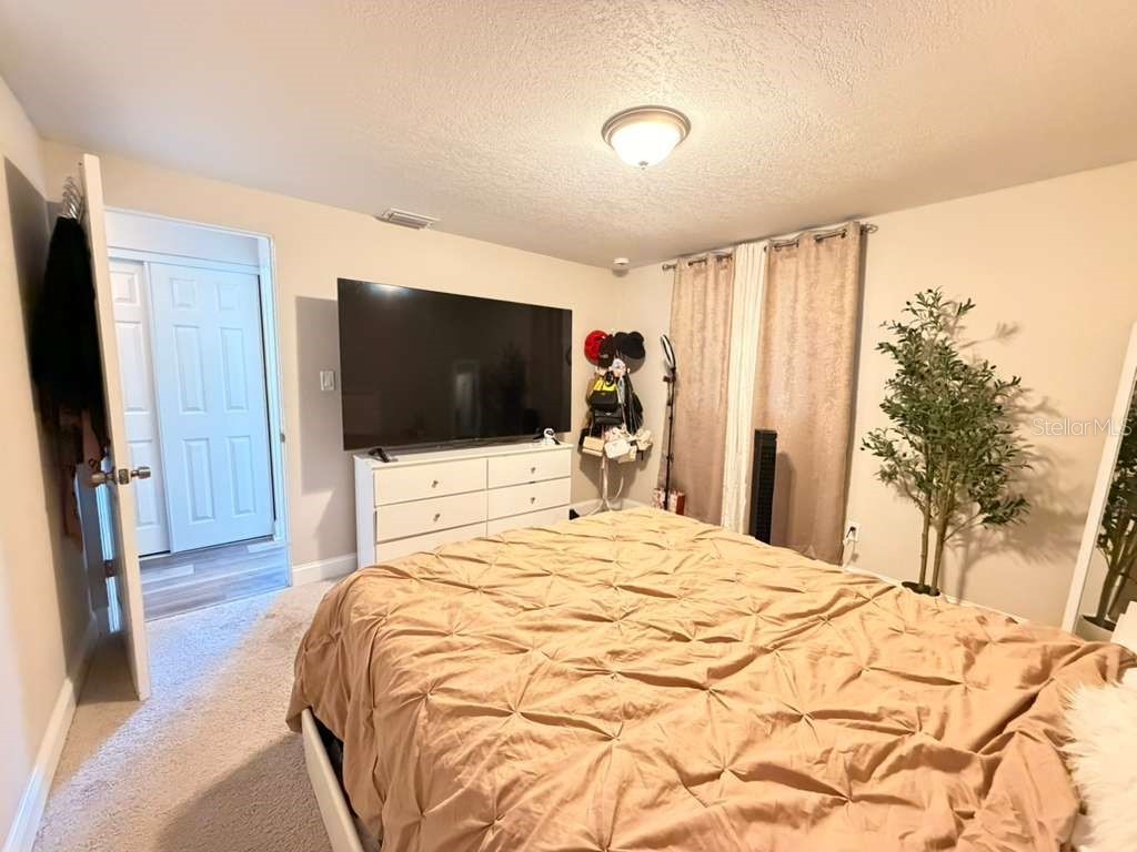 4304 W Arch Street Tampa FL 33607 TB8504345 image20