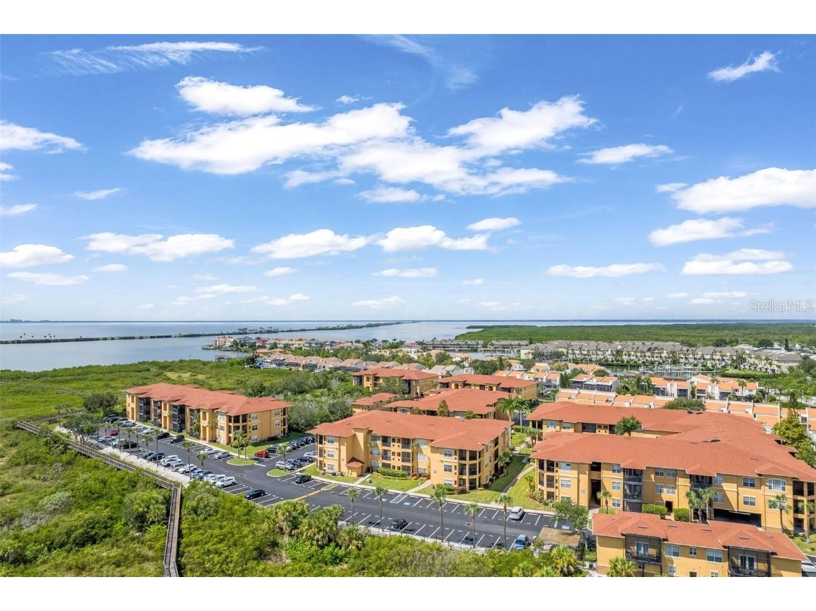 4305 Bayside Village Drive #102 Tampa FL 33615 TB8433393 image29