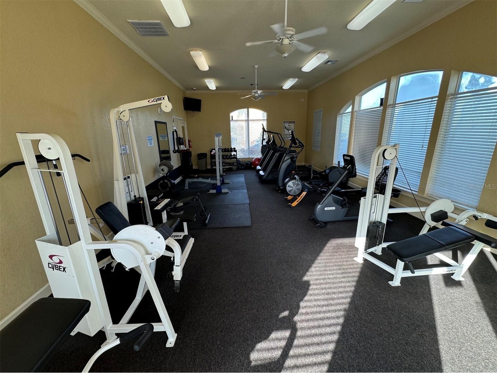 4305 Bayside Village Drive #104 Tampa FL 33615 TB8482649 image16