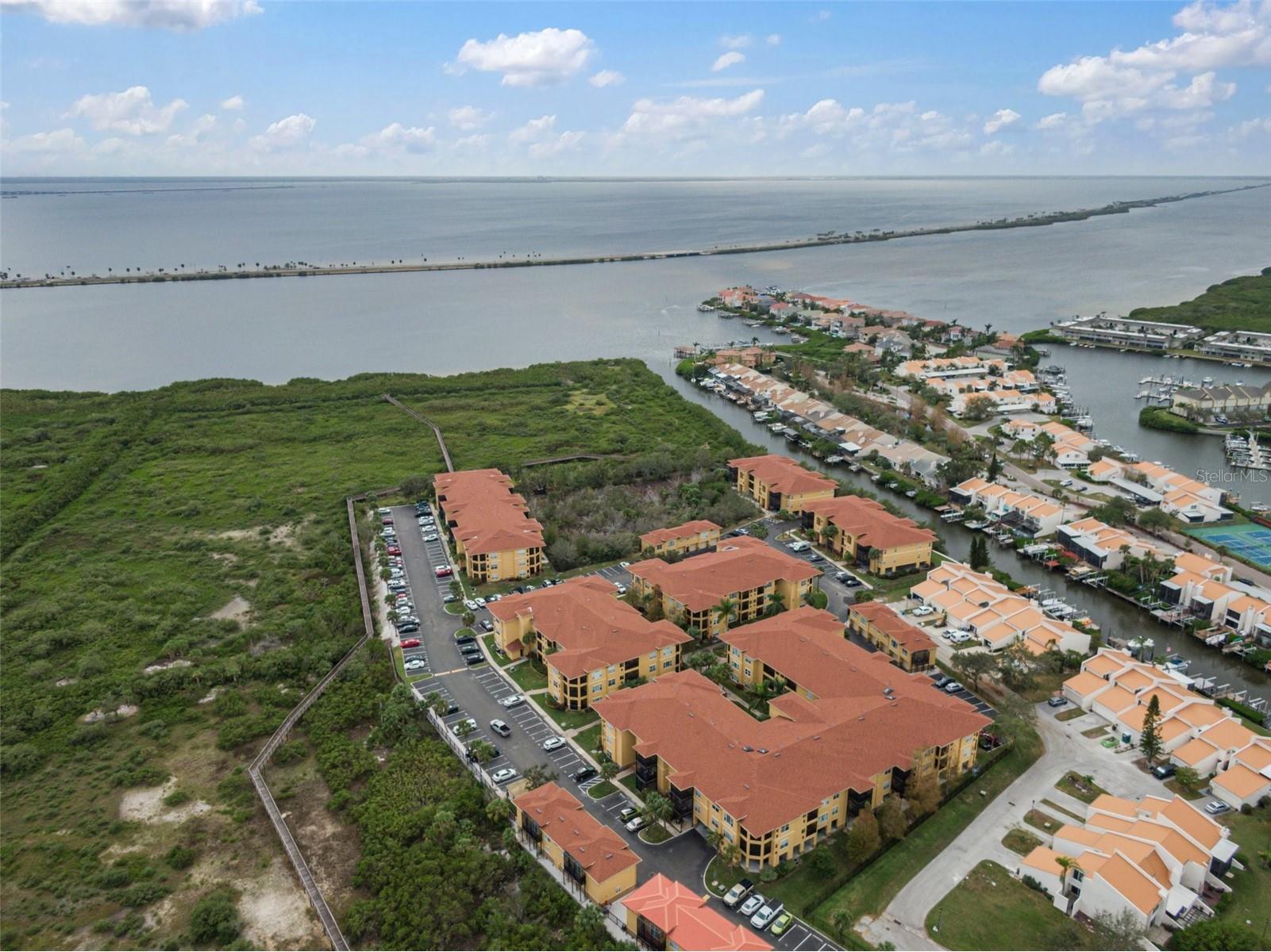 4305 Bayside Village Drive #104 Tampa FL 33615 TB8482649 image2