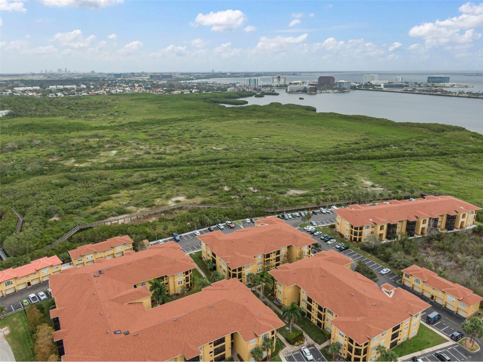 4305 Bayside Village Drive #104 Tampa FL 33615 TB8482649 image32