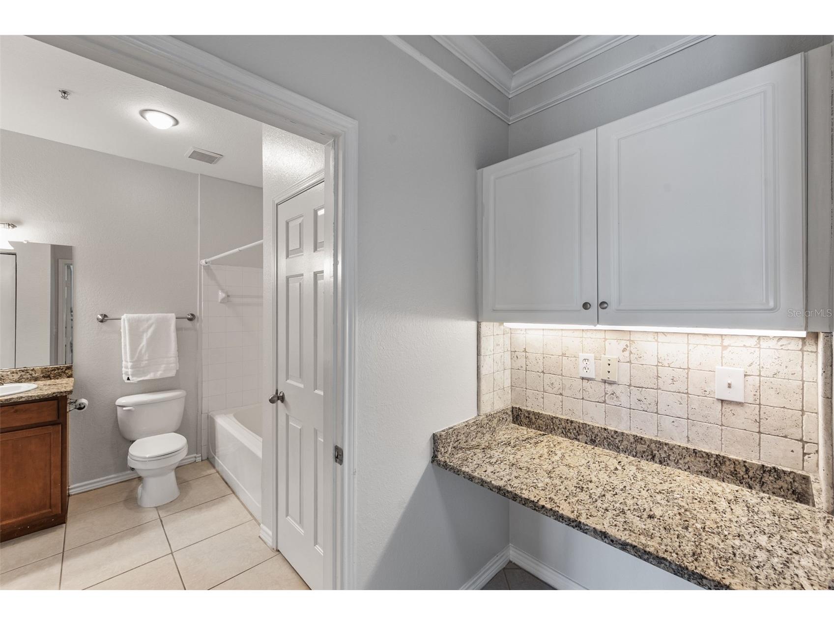 4305 Bayside Village Drive #202 Tampa FL 33615 TB8469785 image28
