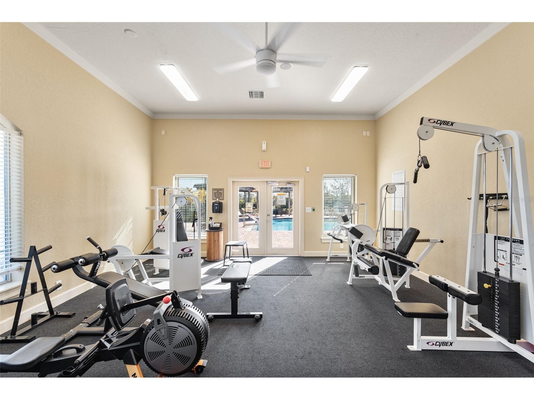 4305 Bayside Village Drive #202 Tampa FL 33615 TB8469785 image53