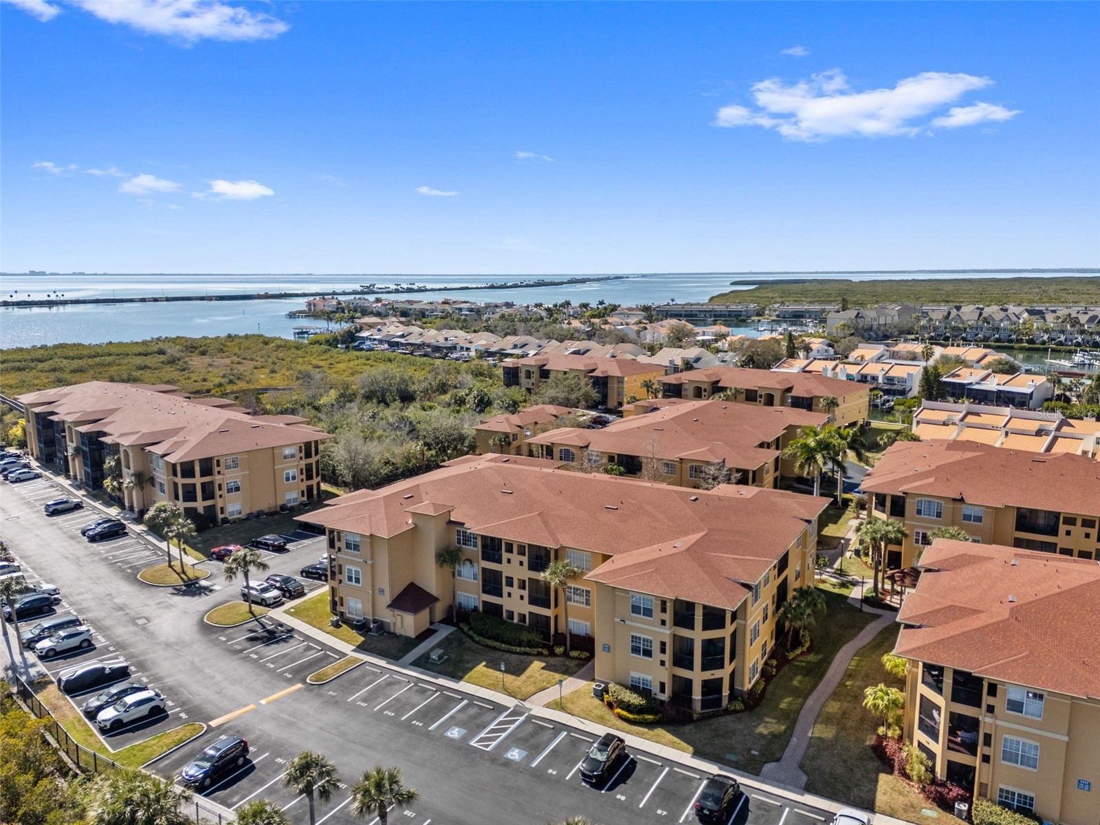 4305 Bayside Village Drive #202 Tampa FL 33615 TB8469785 image59