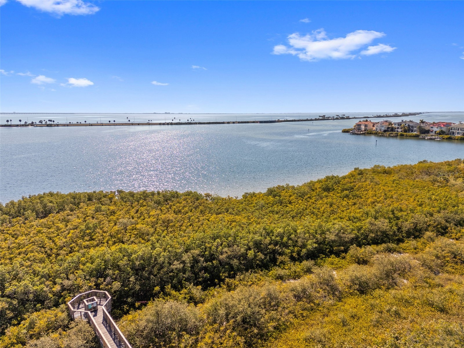 4305 Bayside Village Drive #202 Tampa FL 33615 TB8469785 image61