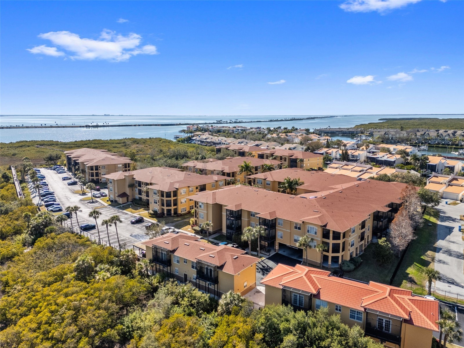 4305 Bayside Village Drive #202 Tampa FL 33615 TB8469785 image66
