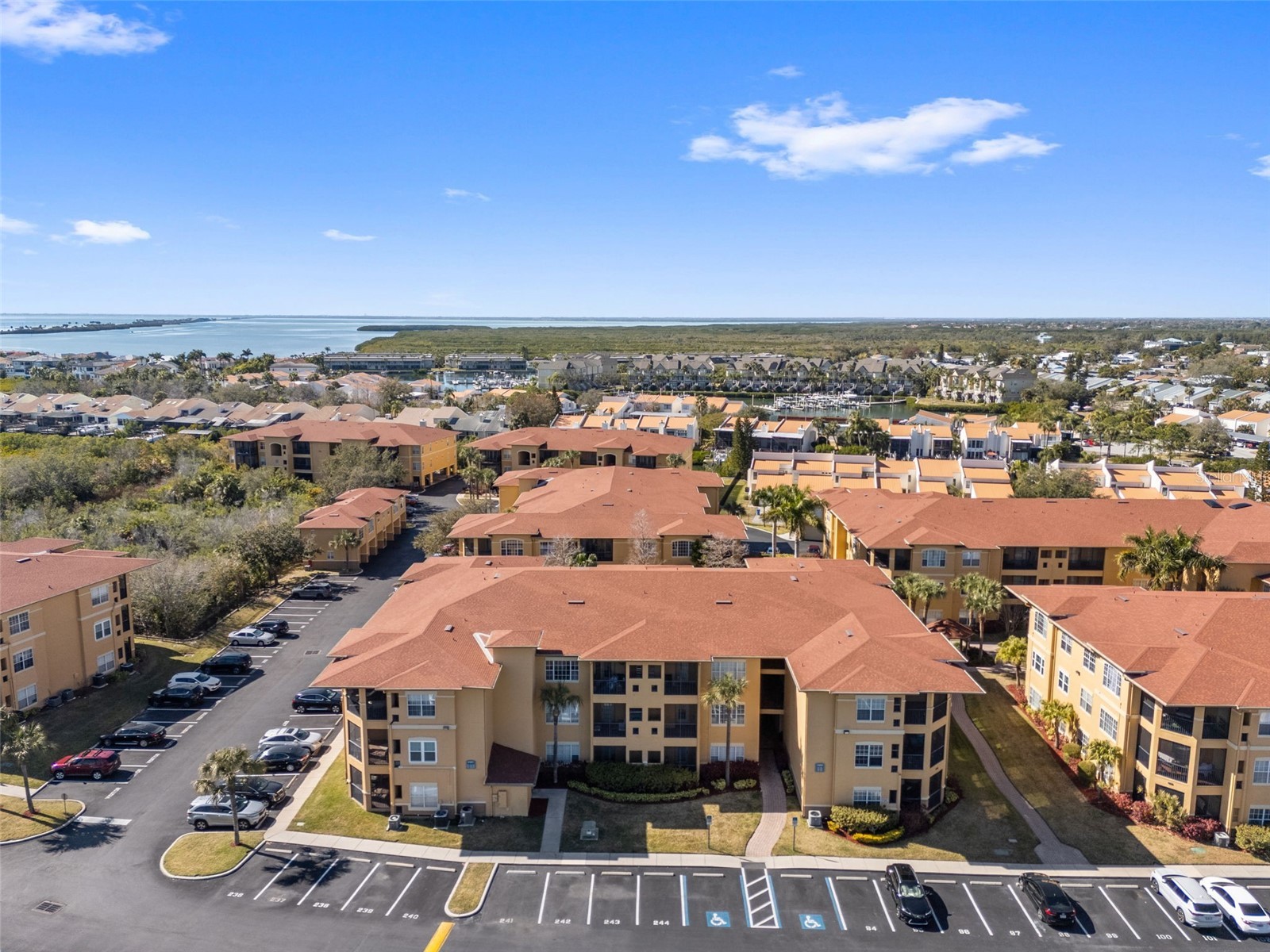 4305 Bayside Village Drive #202 Tampa FL 33615 TB8469785 image67