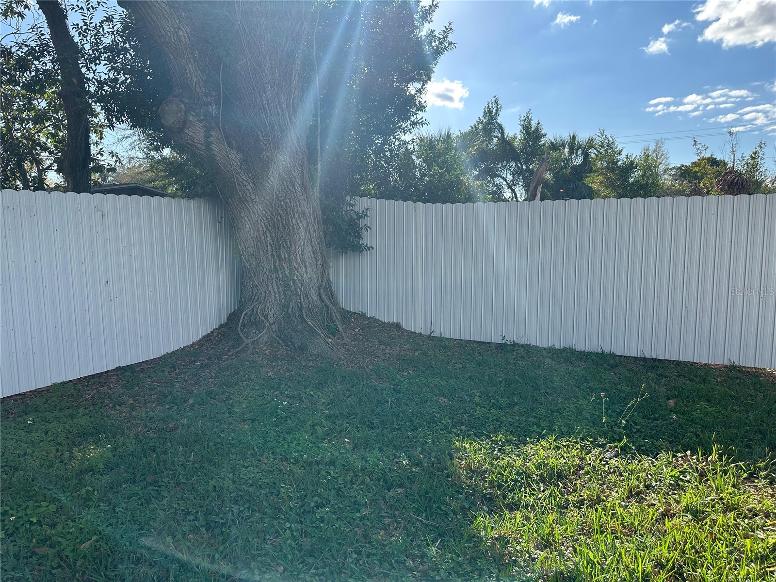4305 E Henry Avenue Tampa FL 33610 TB8481692 image28