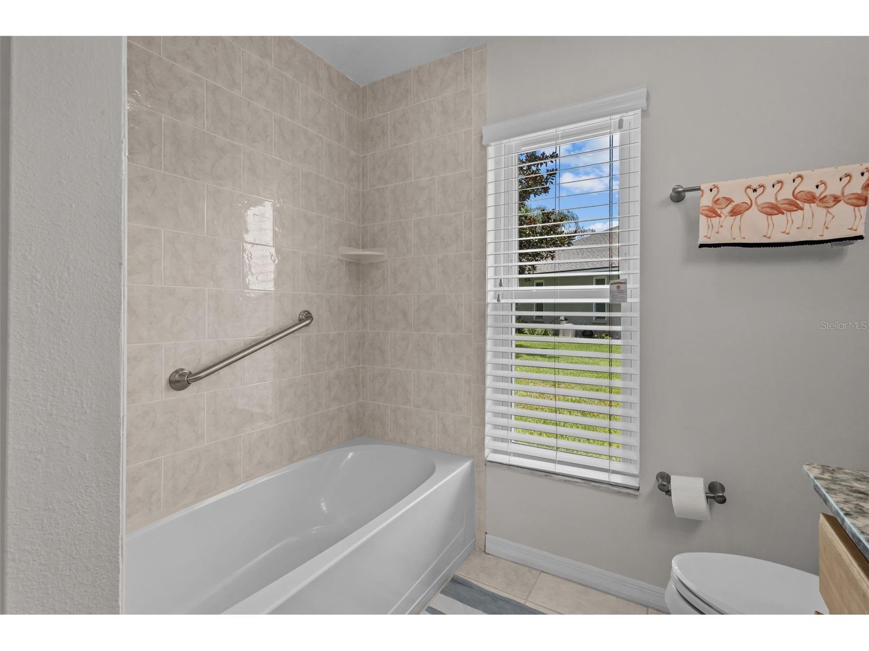 4305 Gentrice Drive Valrico FL 33596 TB8528275 image21