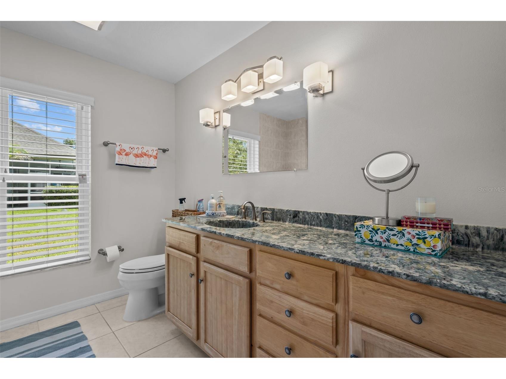 4305 Gentrice Drive Valrico FL 33596 TB8528275 image23