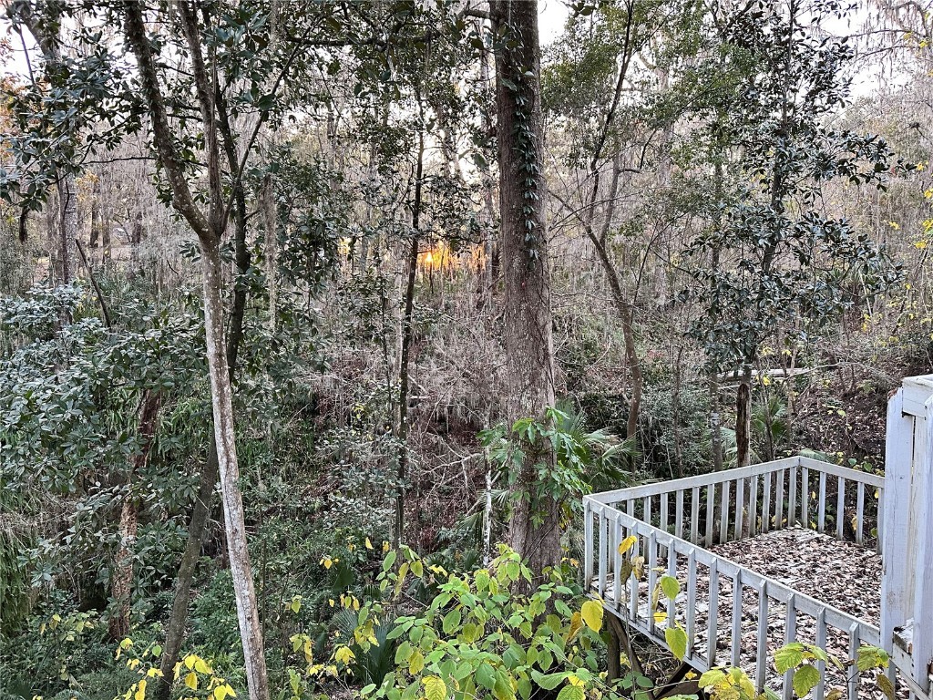 4305 SW 20th Avenue Ocala FL 34471 OM702426 image21