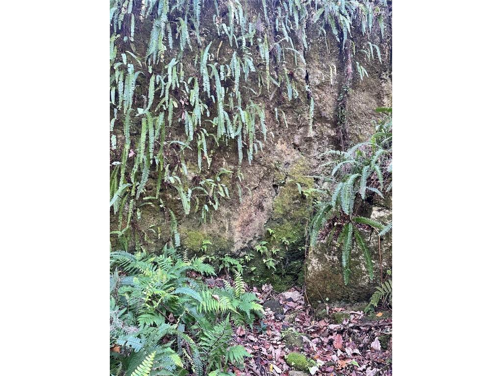 4305 SW 20th Avenue Ocala FL 34471 OM702426 image54