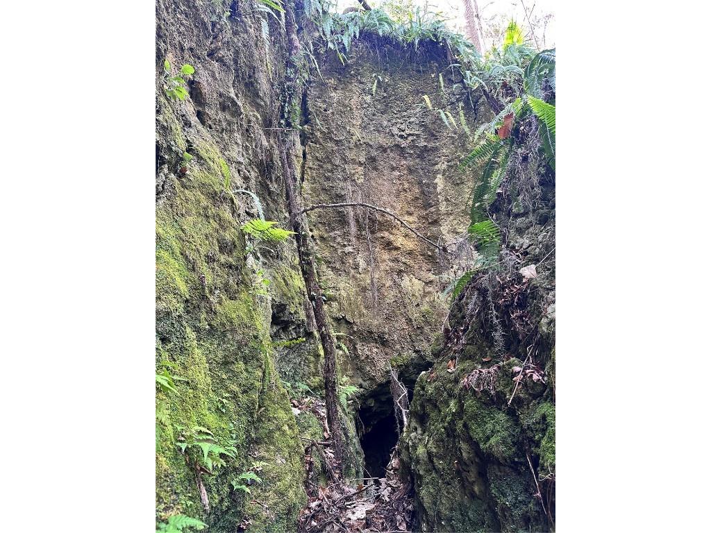 4305 SW 20th Avenue Ocala FL 34471 OM702426 image55