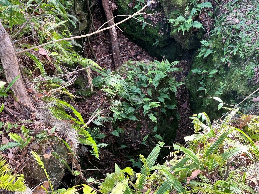 4305 SW 20th Avenue Ocala FL 34471 OM702426 image56