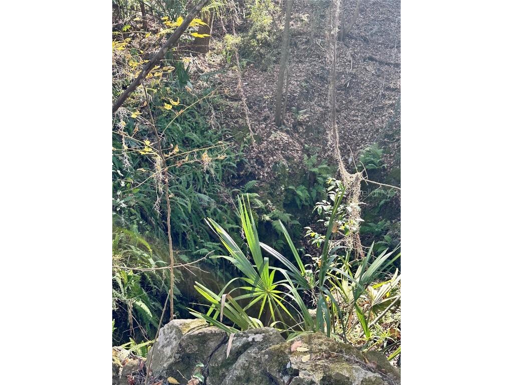 4305 SW 20th Avenue Ocala FL 34471 OM702426 image57