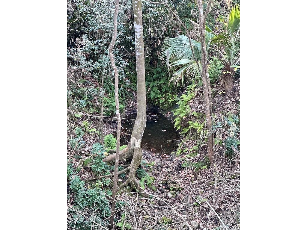 4305 SW 20th Avenue Ocala FL 34471 OM702426 image59