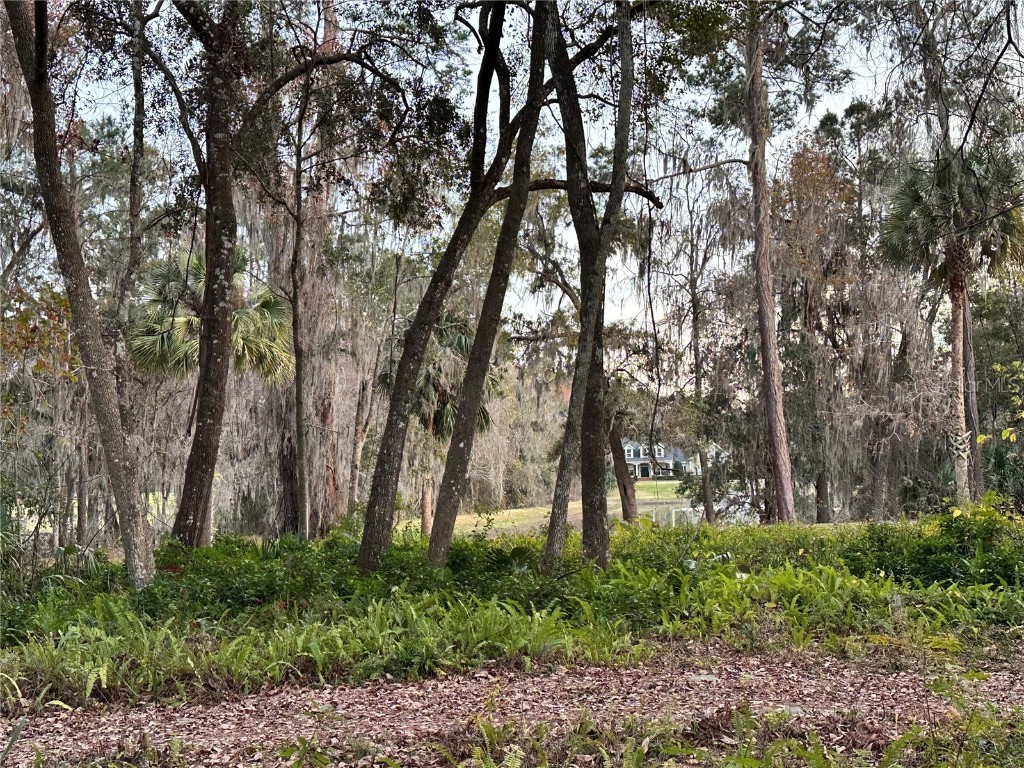 4305 SW 20th Avenue Ocala FL 34471 OM702426 image66