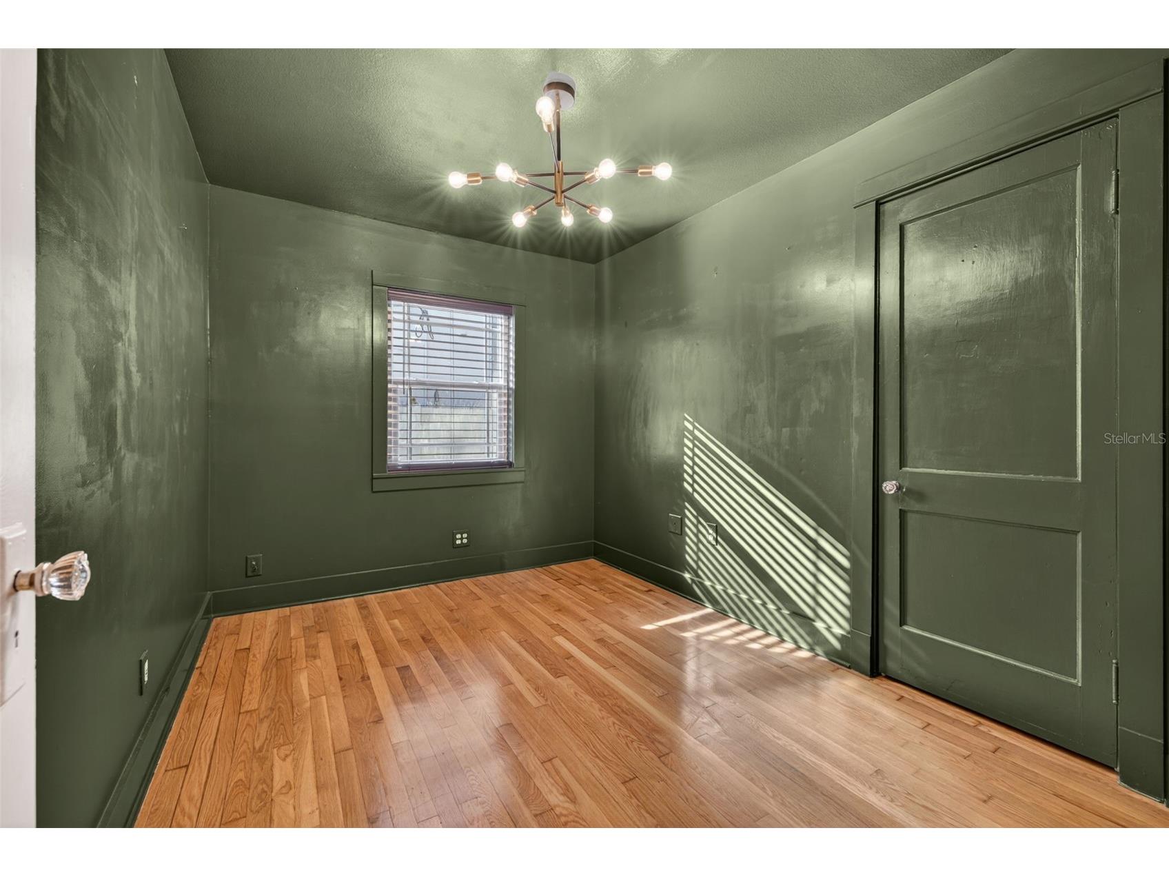 4305 W Leona Street Tampa FL 33629 TB8477887 image19