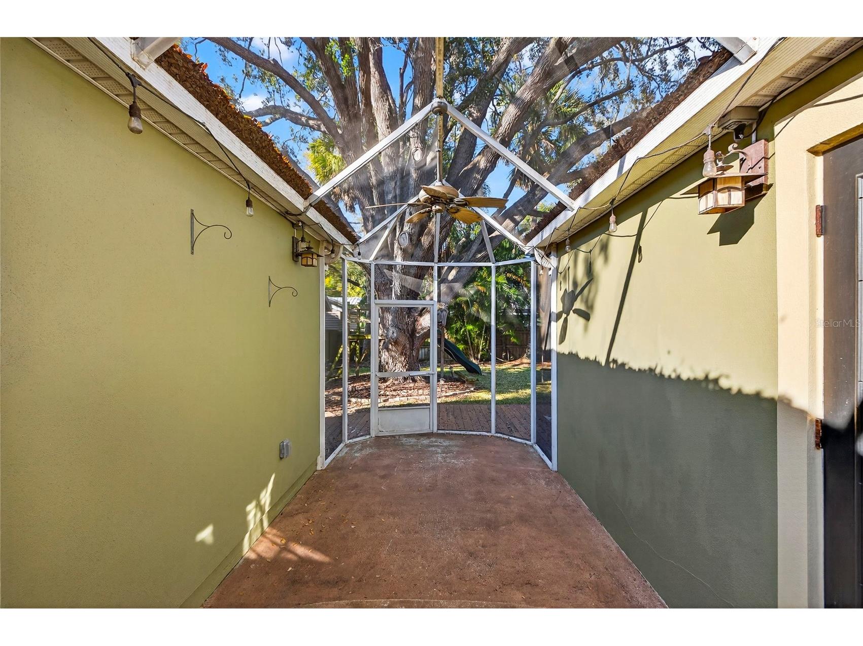 4305 W Leona Street Tampa FL 33629 TB8477887 image31