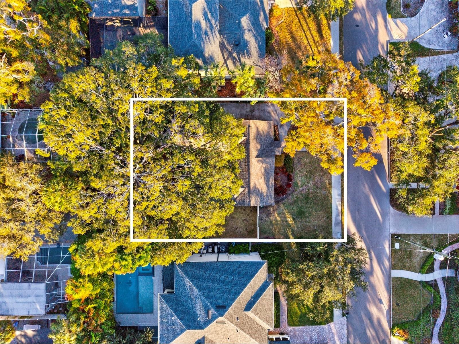 4305 W Leona Street Tampa FL 33629 TB8477887 image37