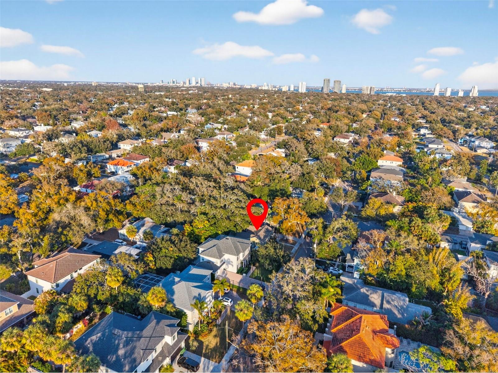 4305 W Leona Street Tampa FL 33629 TB8477887 image38