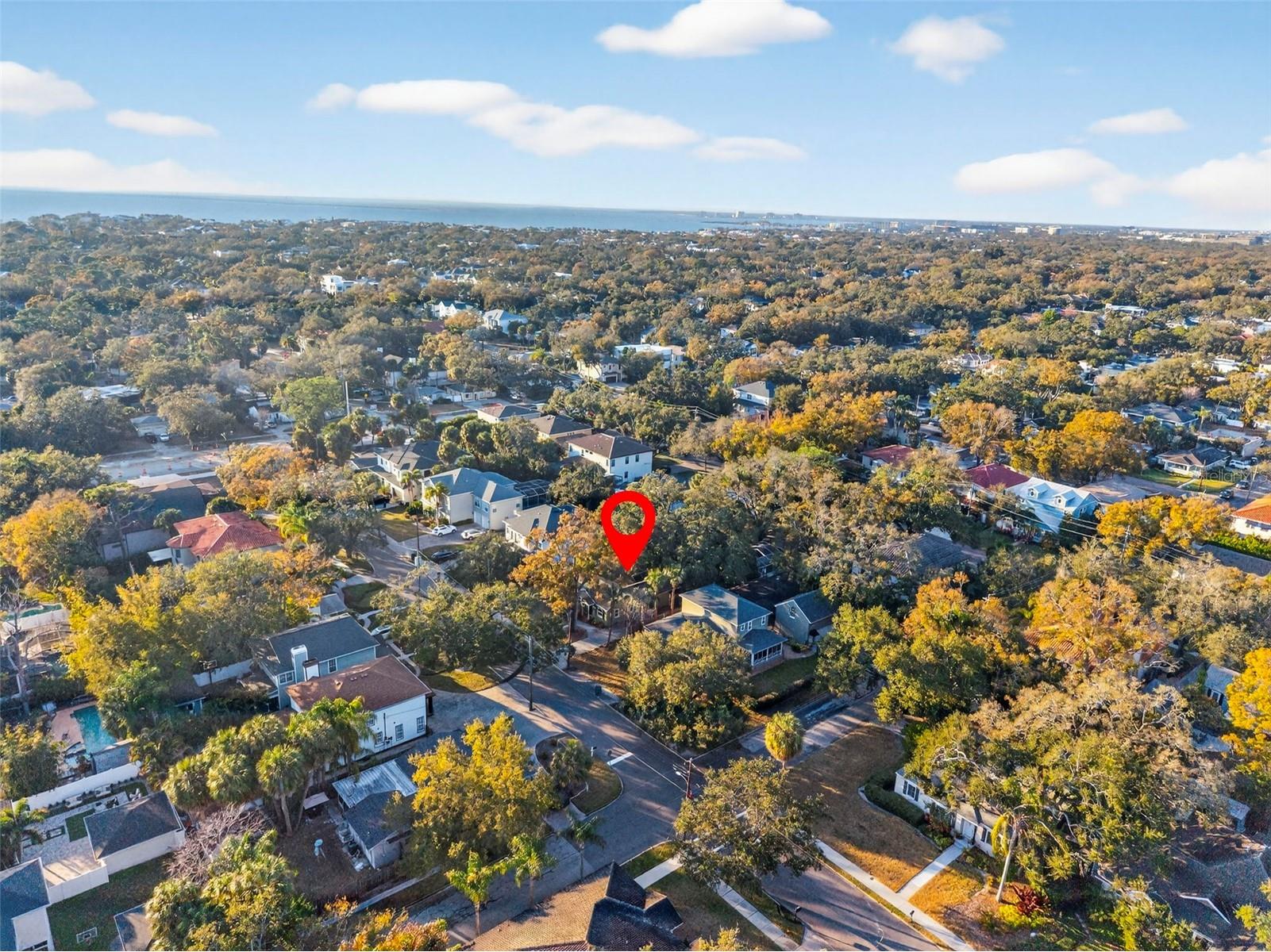 4305 W Leona Street Tampa FL 33629 TB8477887 image39