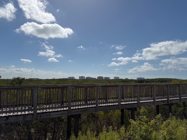 4306 Bayside Village Drive #102 Tampa FL 33615 O6388876 image21