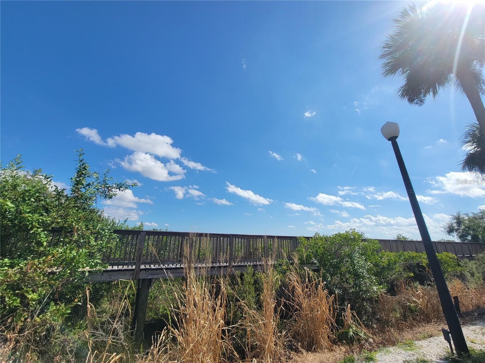 4306 Bayside Village Drive #102 Tampa FL 33615 O6388876 image49