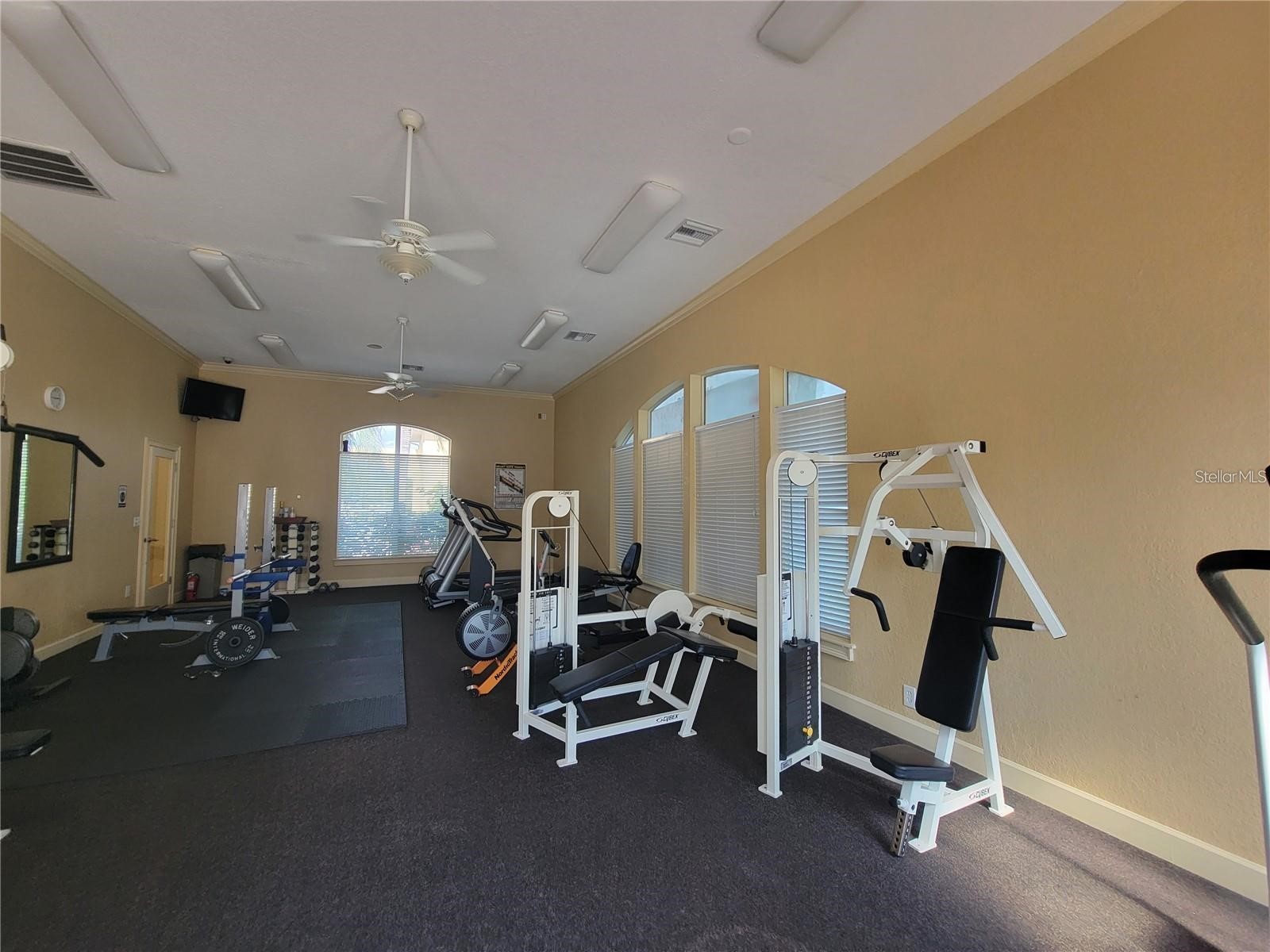 4306 Bayside Village Drive #102 Tampa FL 33615 O6388876 image53