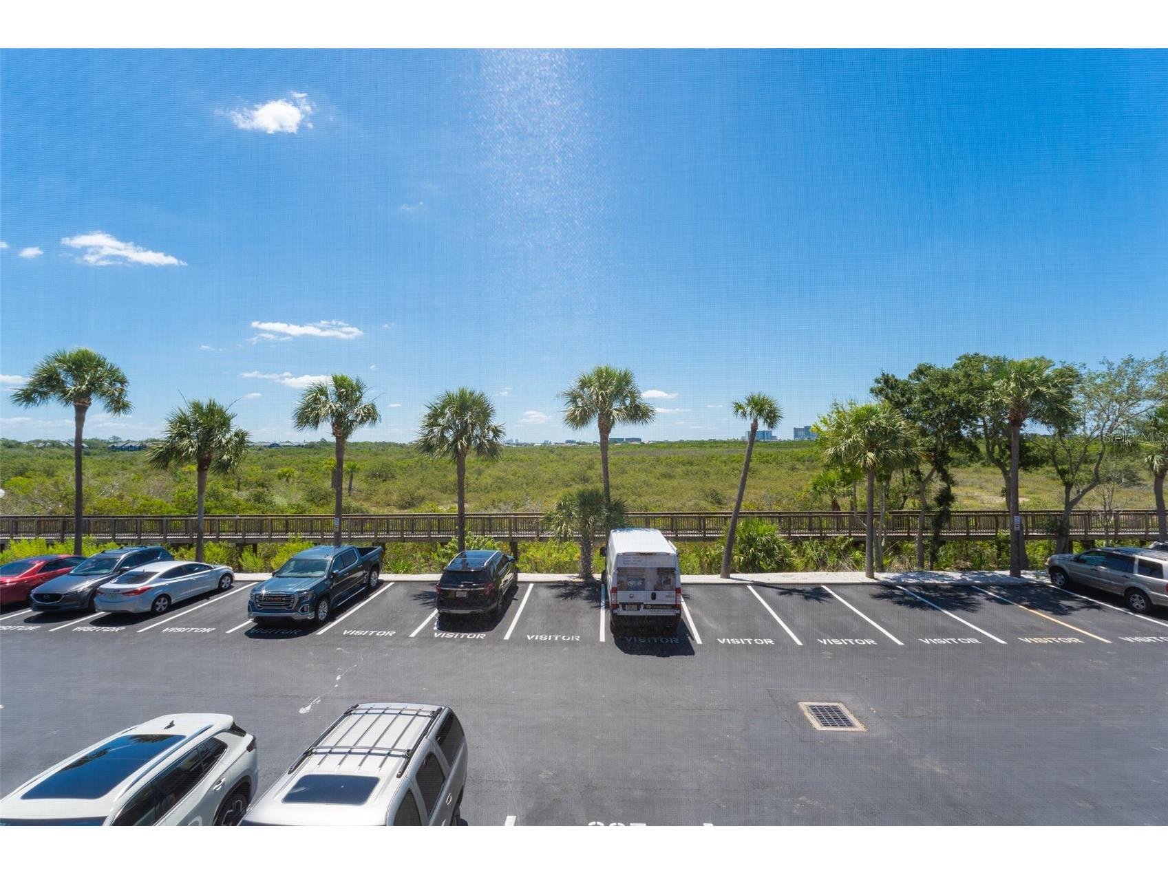 4306 Bayside Village Drive #202 Tampa FL 33615 TB8515949 image33