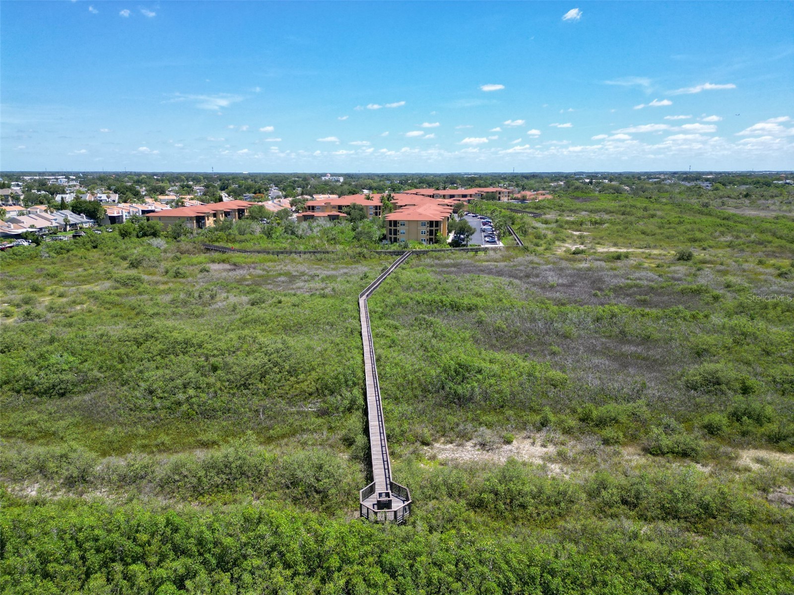4306 Bayside Village Drive #202 Tampa FL 33615 TB8515949 image35