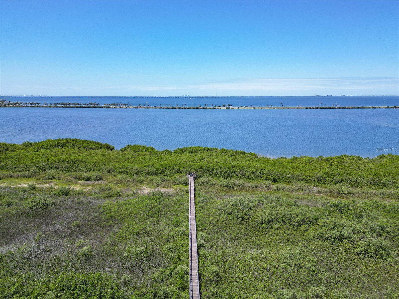 4306 Bayside Village Drive #202 Tampa FL 33615 TB8515949 image36