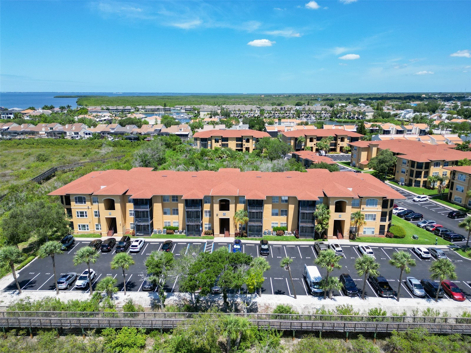4306 Bayside Village Drive #202 Tampa FL 33615 TB8515949 image38