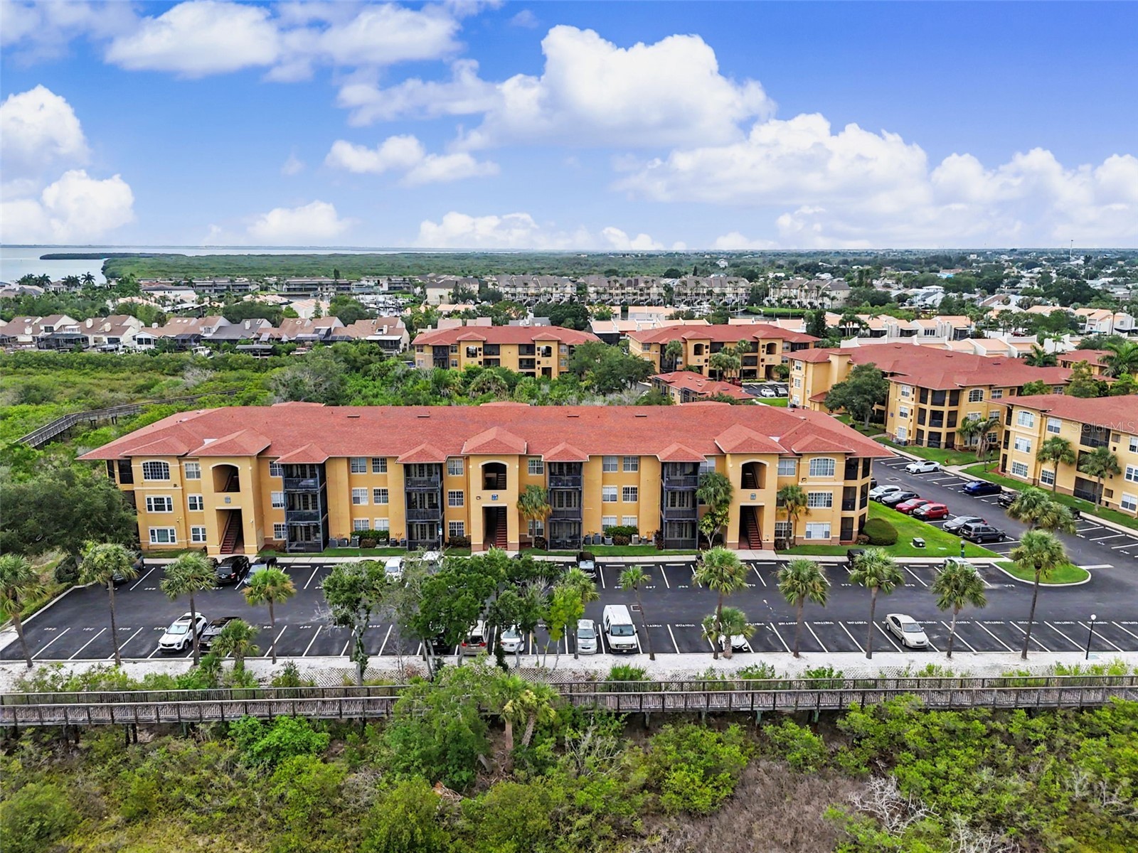 4306 Bayside Village Drive #301 Tampa FL 33615 TB8527306 image1