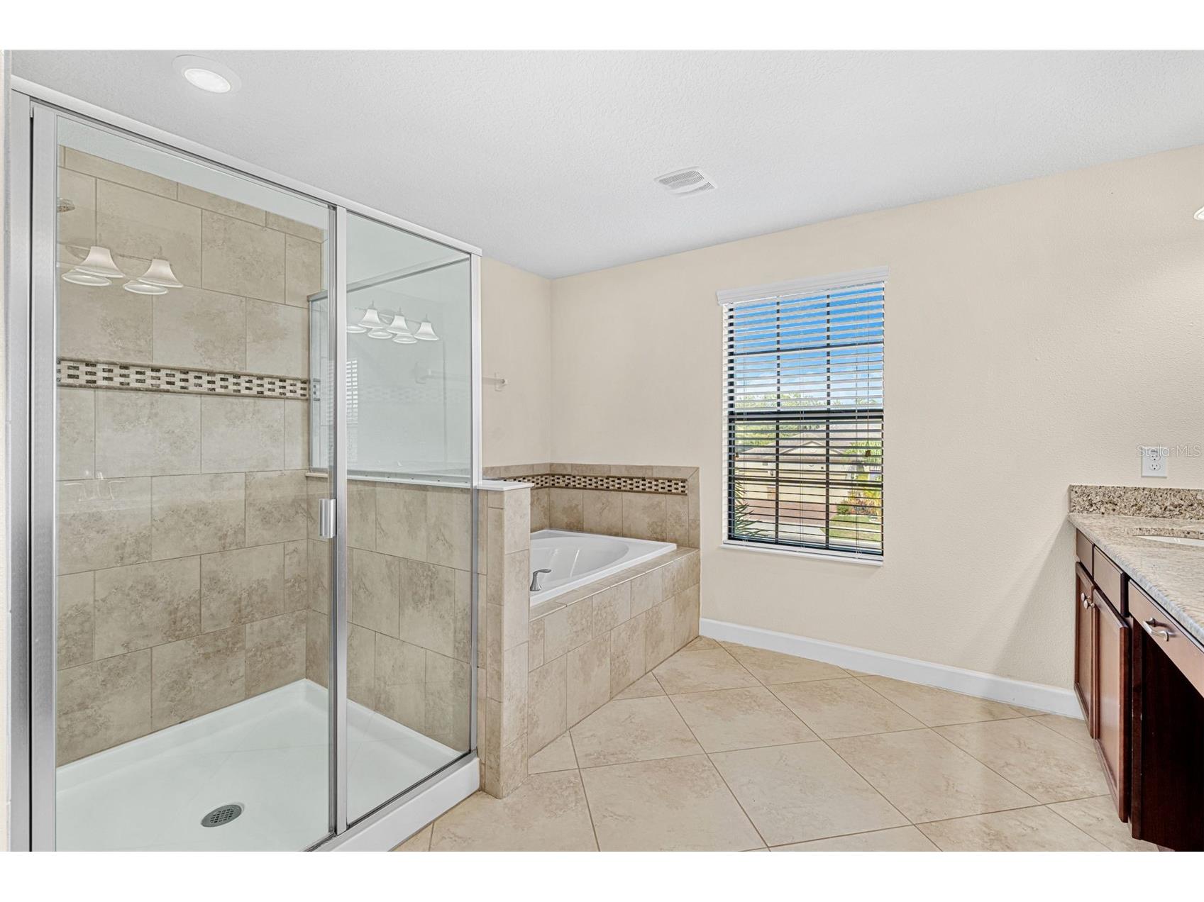 4306 Biscayne Cove Court Kissimmee FL 34744 O6370990 image24