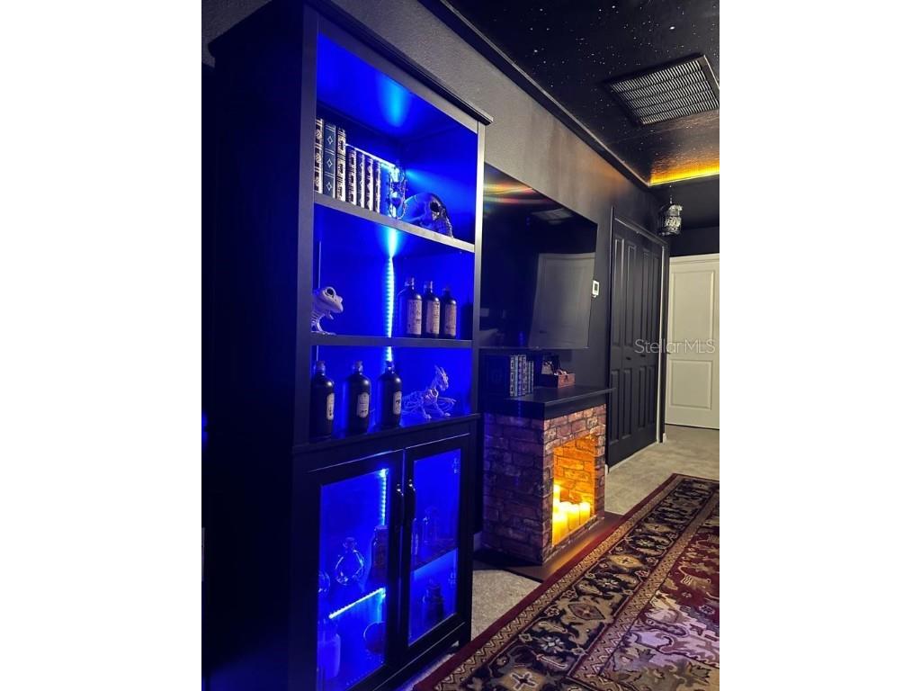 4306 Lana Avenue Davenport FL 33897 O6254306 image19