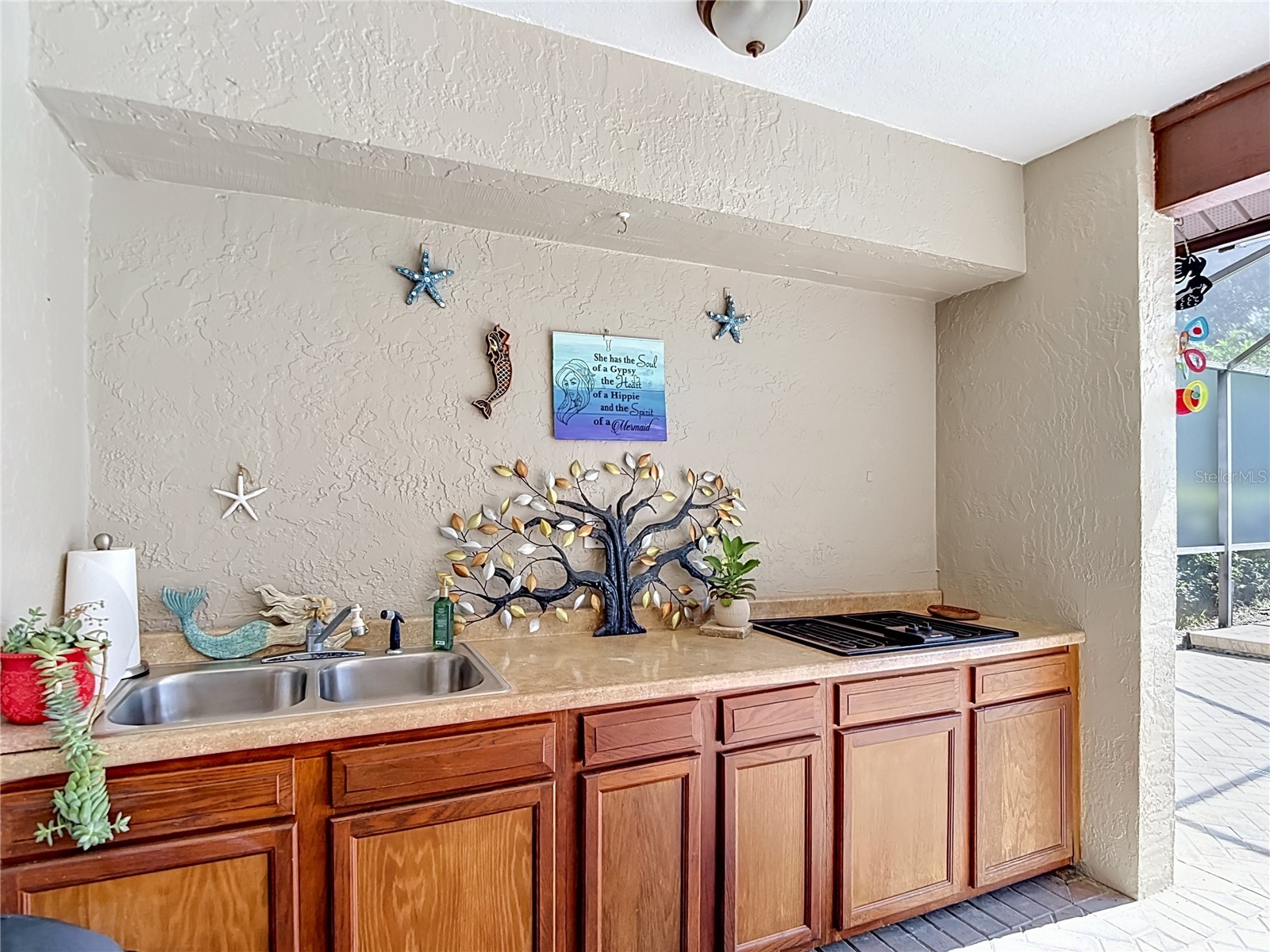 4306 River Birch Drive Spring Hill FL 34607 W7886418 image69