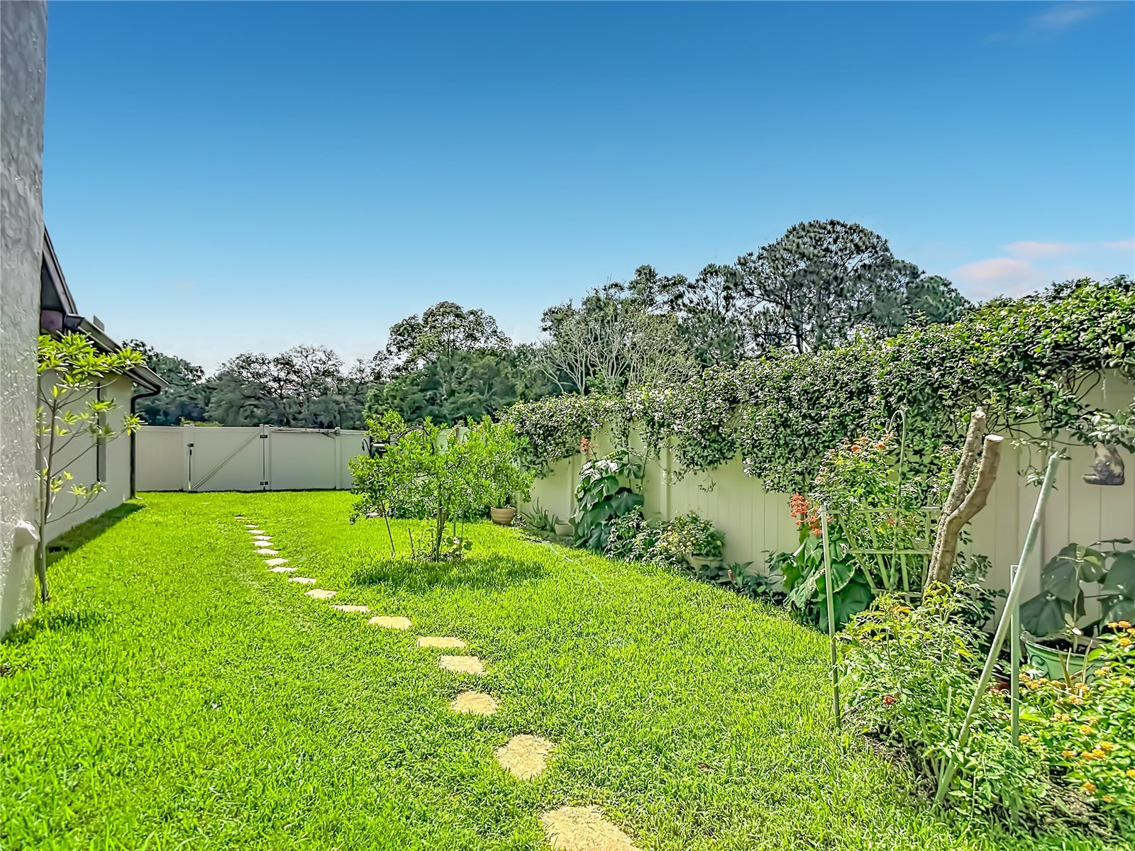 4306 River Birch Drive Spring Hill FL 34607 W7886418 image76