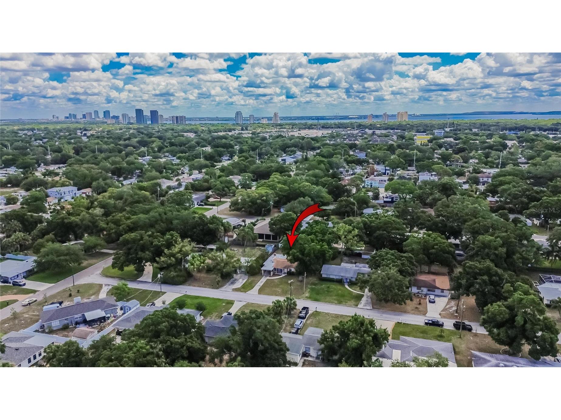 4306 S Hubert Avenue Tampa FL 33611 TB8508715 image53
