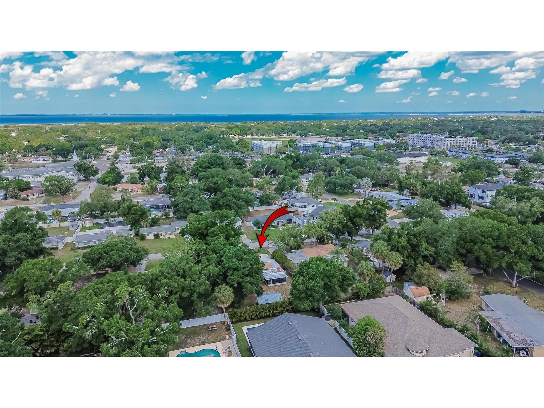 4306 S Hubert Avenue Tampa FL 33611 TB8508715 image59