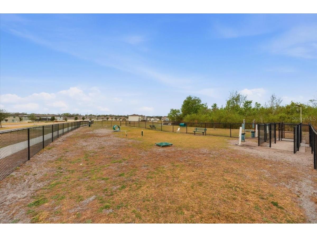 4306 Salt Springs Lane Lakeland FL 33811 L4962156 image50