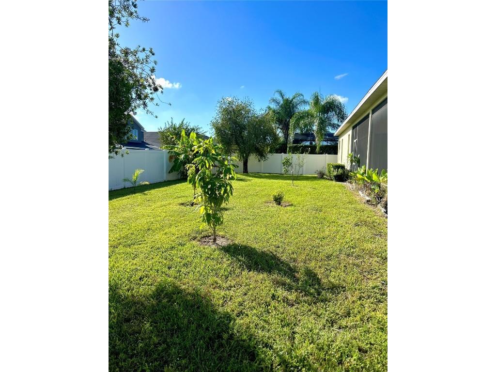 4307 Atwood Drive Orlando FL 32828 O6365574 image35